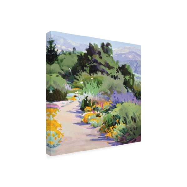 Marcia Burtt 'Path Through The Poppies Mountains' Canvas Art,14x14